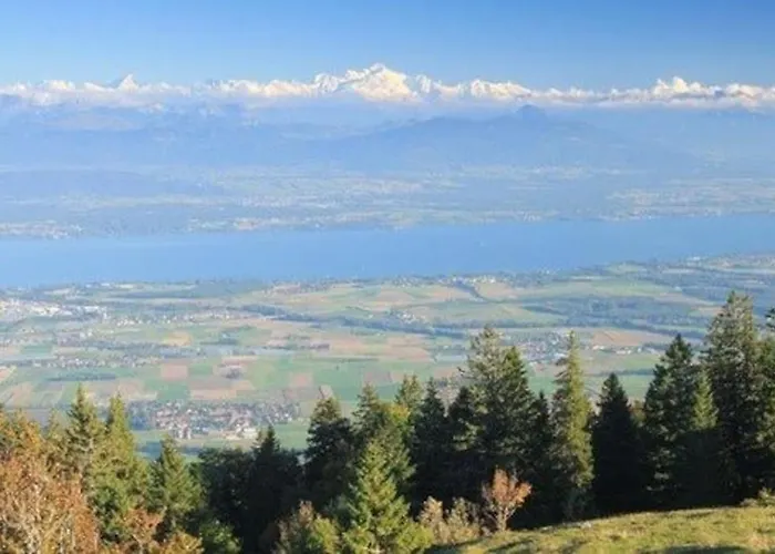 30c Route D'arzier شقة *